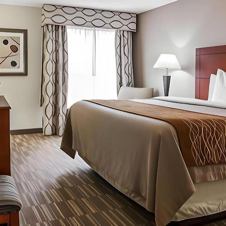 Comfort Inn & Suites University South Ann Arbor Zewnętrze zdjęcie
