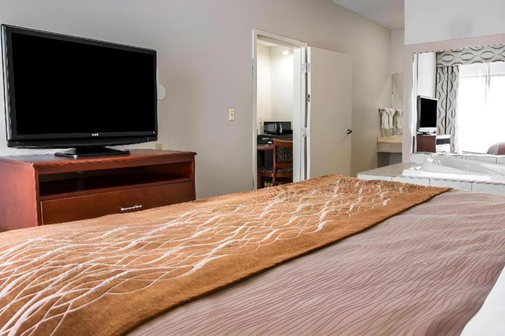 Comfort Inn & Suites University South Ann Arbor Zewnętrze zdjęcie