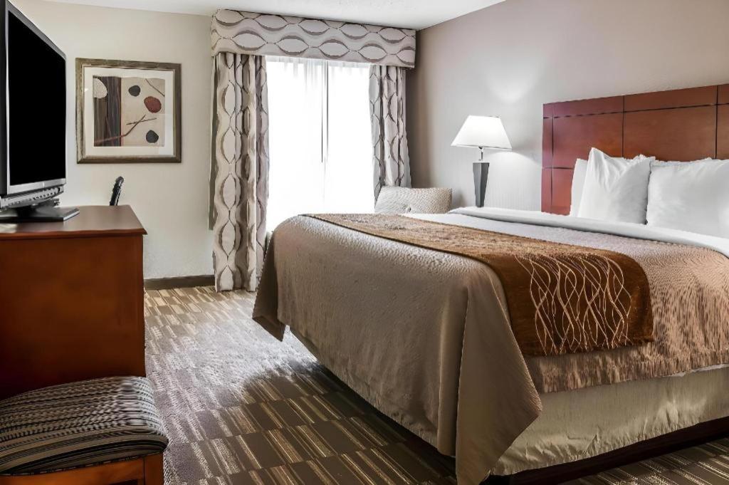 Comfort Inn & Suites University South Ann Arbor Zewnętrze zdjęcie