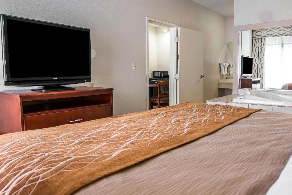 Comfort Inn & Suites University South Ann Arbor Zewnętrze zdjęcie
