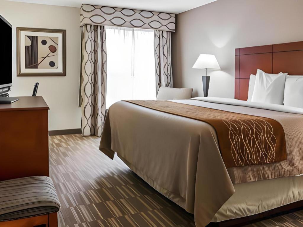 Comfort Inn & Suites University South Ann Arbor Zewnętrze zdjęcie