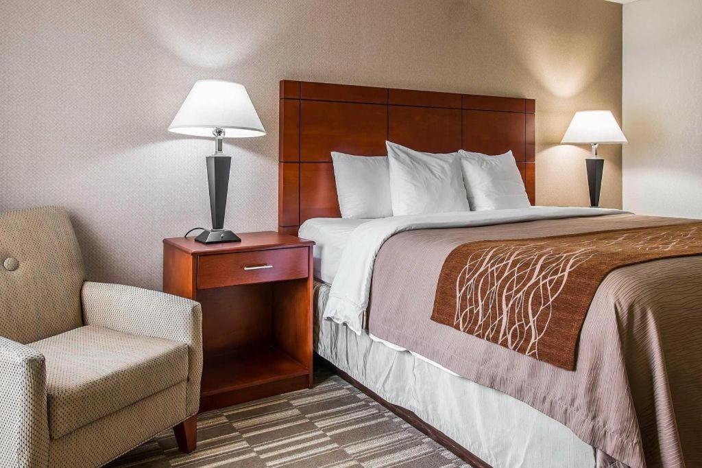 Comfort Inn & Suites University South Ann Arbor Zewnętrze zdjęcie