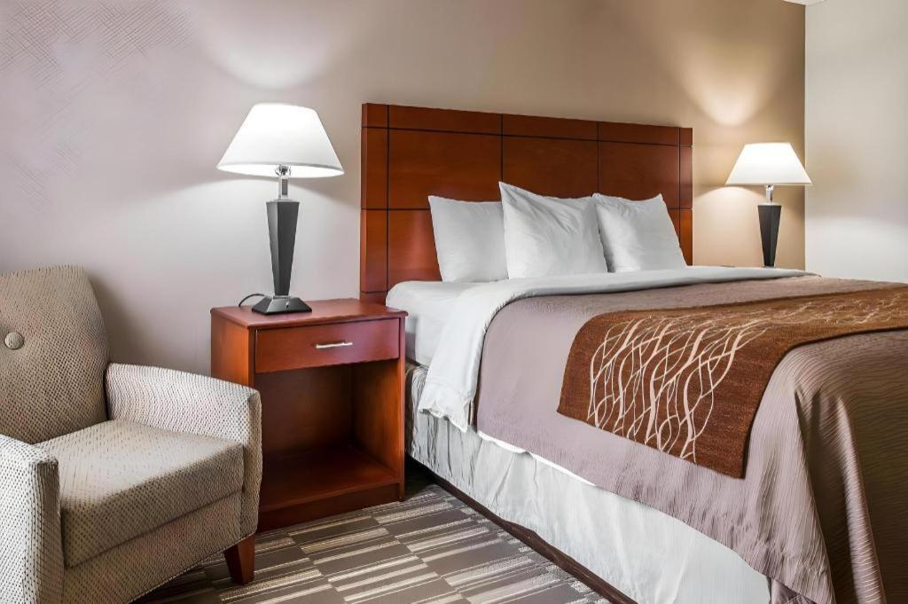 Comfort Inn & Suites University South Ann Arbor Zewnętrze zdjęcie