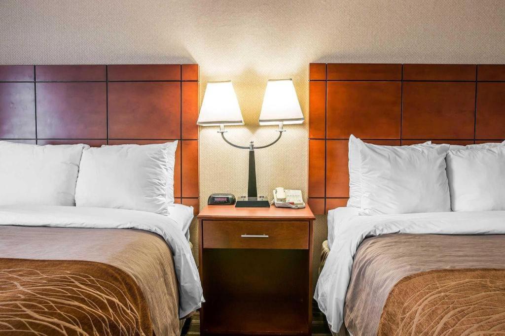 Comfort Inn & Suites University South Ann Arbor Zewnętrze zdjęcie