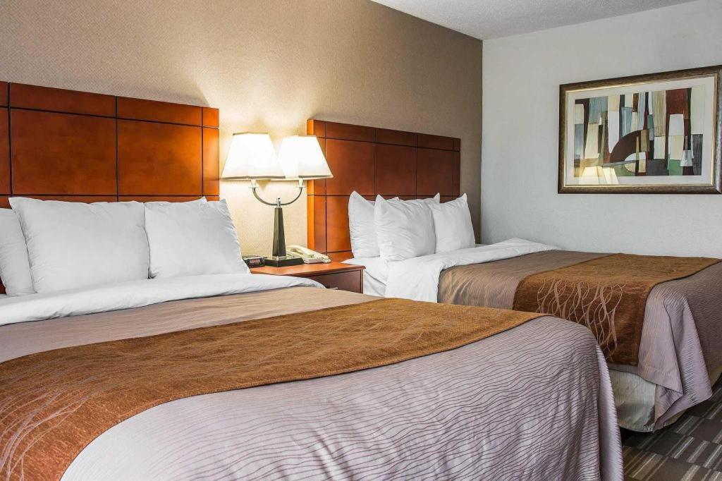 Comfort Inn & Suites University South Ann Arbor Zewnętrze zdjęcie