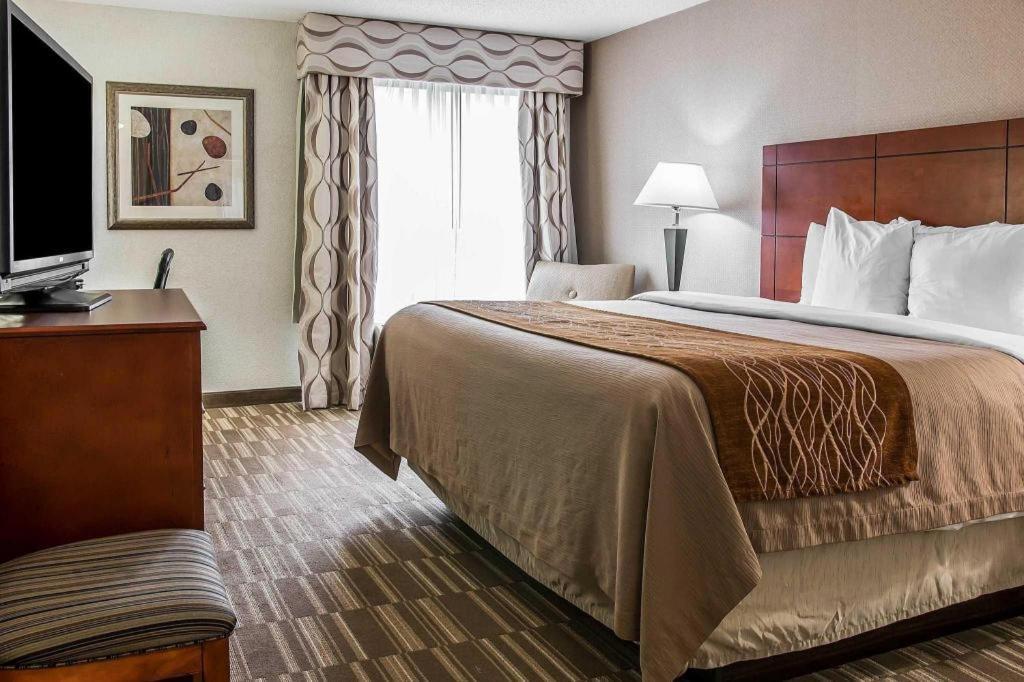 Comfort Inn & Suites University South Ann Arbor Zewnętrze zdjęcie