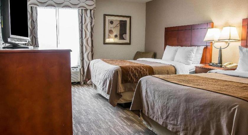 Comfort Inn & Suites University South Ann Arbor Zewnętrze zdjęcie