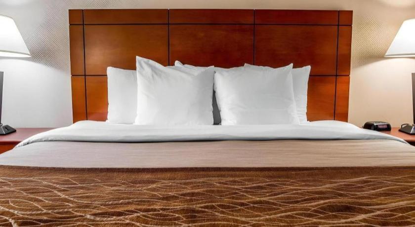 Comfort Inn & Suites University South Ann Arbor Zewnętrze zdjęcie