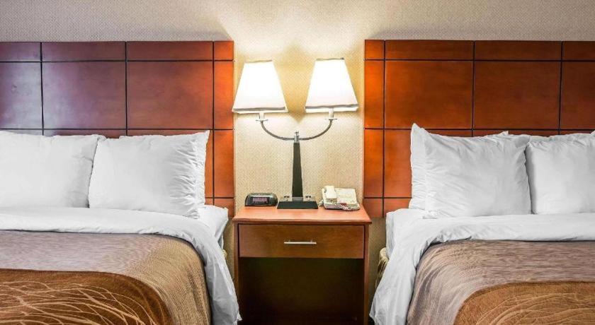 Comfort Inn & Suites University South Ann Arbor Zewnętrze zdjęcie