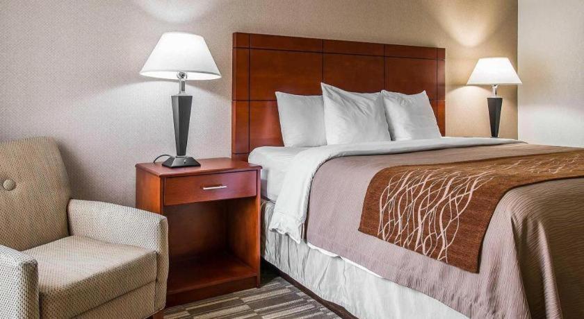 Comfort Inn & Suites University South Ann Arbor Zewnętrze zdjęcie