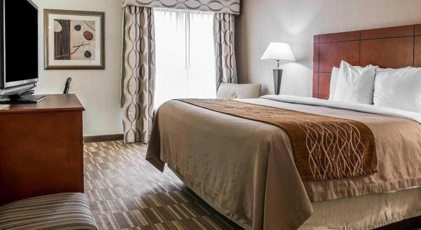 Comfort Inn & Suites University South Ann Arbor Zewnętrze zdjęcie