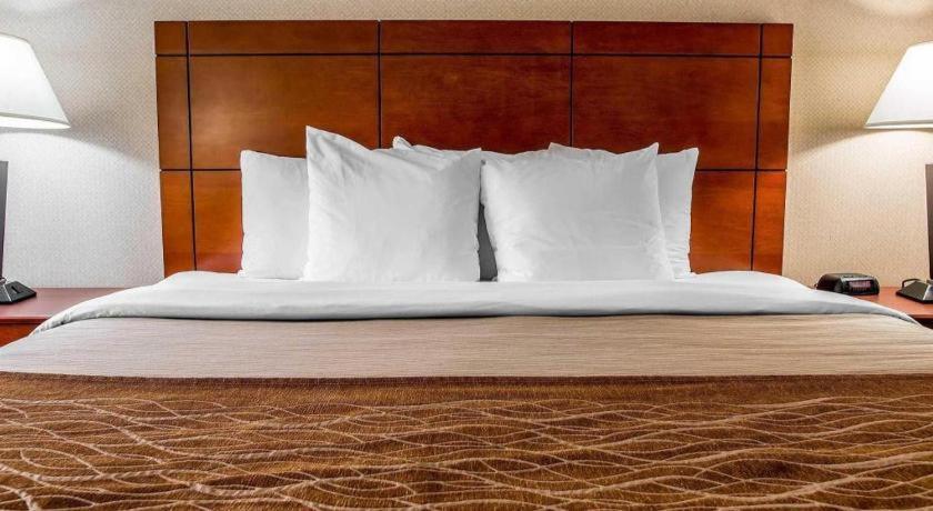 Comfort Inn & Suites University South Ann Arbor Zewnętrze zdjęcie