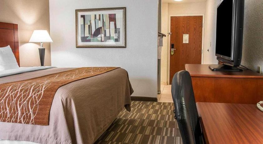 Comfort Inn & Suites University South Ann Arbor Zewnętrze zdjęcie