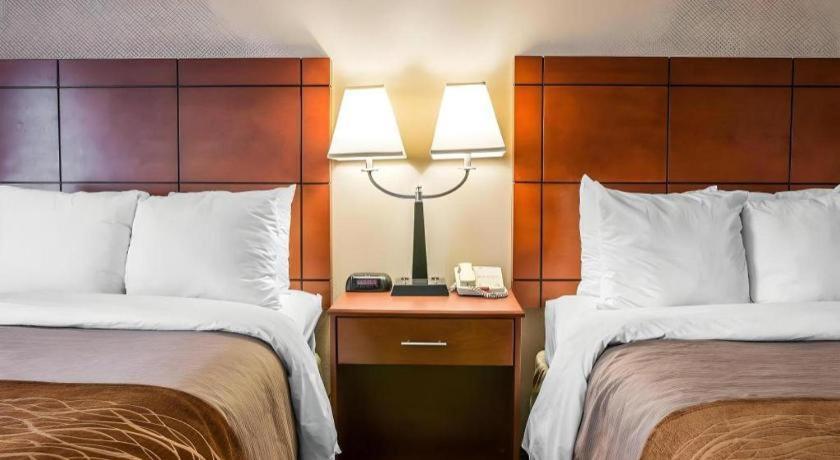 Comfort Inn & Suites University South Ann Arbor Zewnętrze zdjęcie